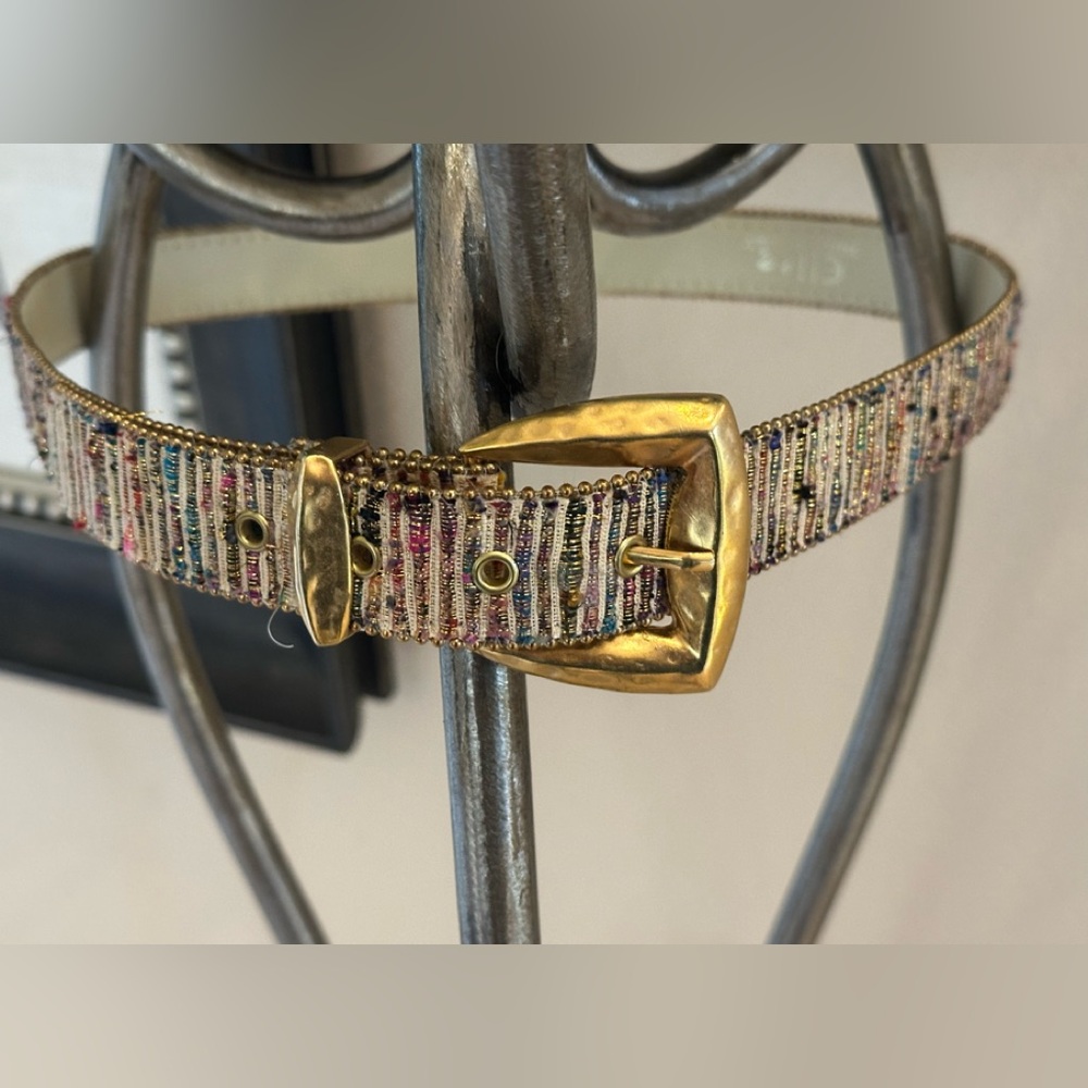 Chic Multicolor Belt with Gold Buckle